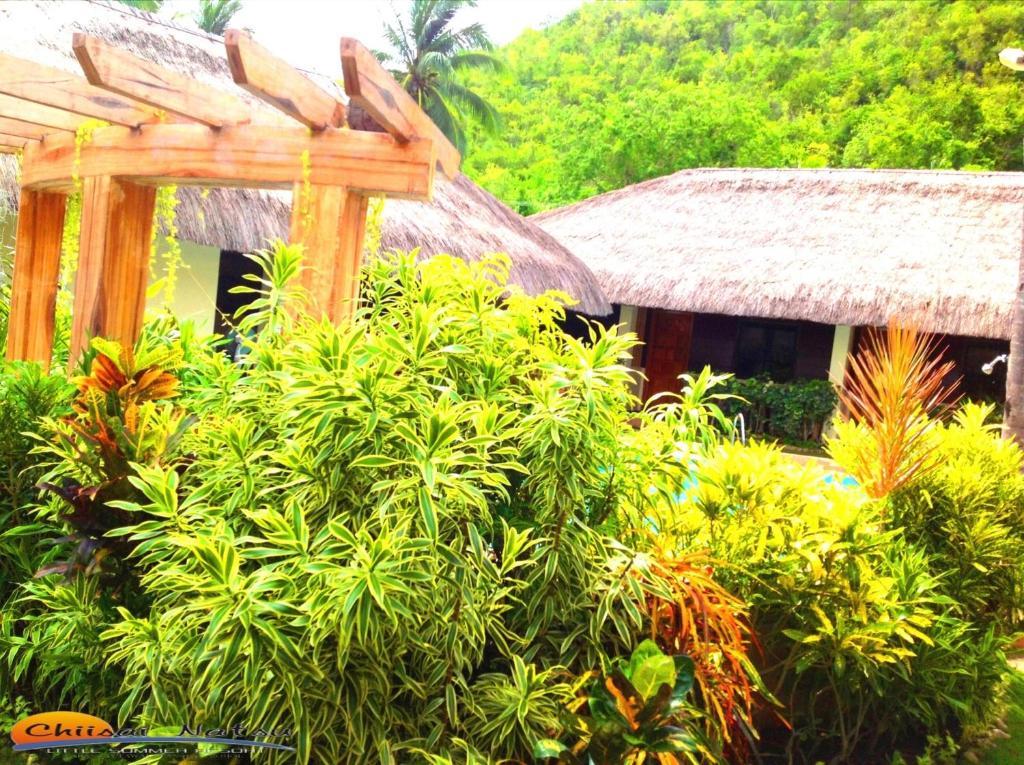 Chiisai Natsu Resort Bohol Εξωτερικό φωτογραφία