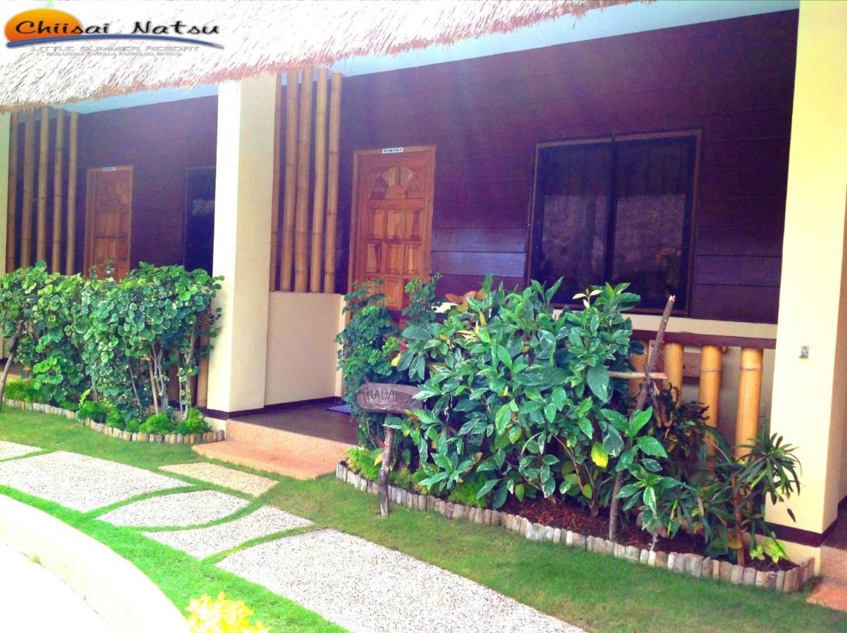 Chiisai Natsu Resort Bohol Εξωτερικό φωτογραφία