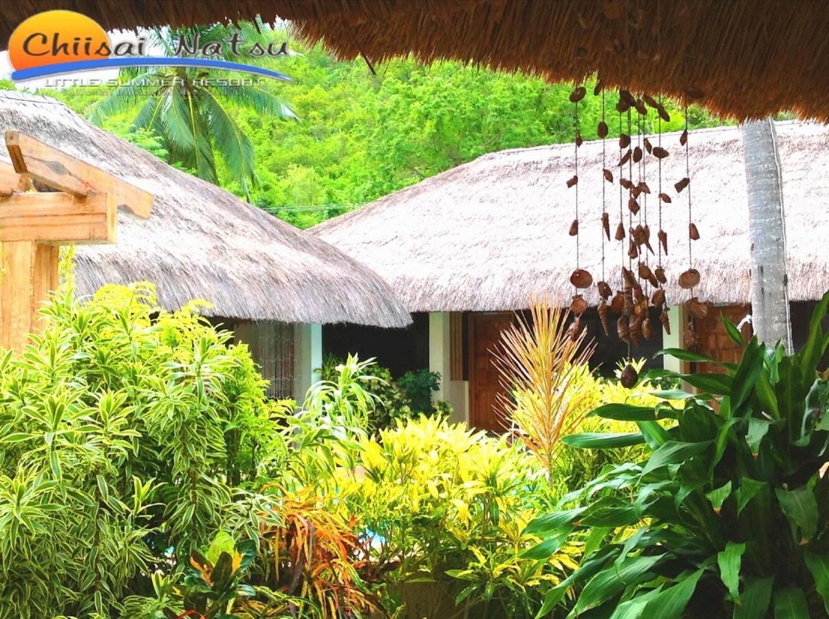 Chiisai Natsu Resort Bohol Εξωτερικό φωτογραφία